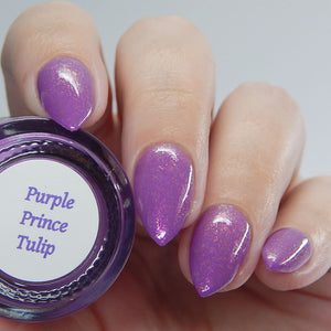 Purple Prince Tulip - NEW