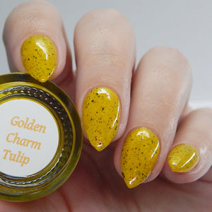 Golden Charm Tulip -  NEW
