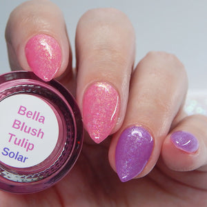 Bella Blush Tulip-NEW